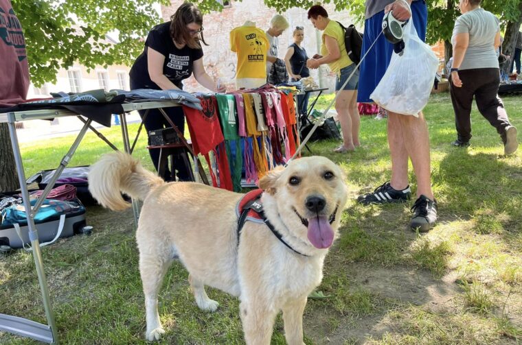 Posh store Posh store