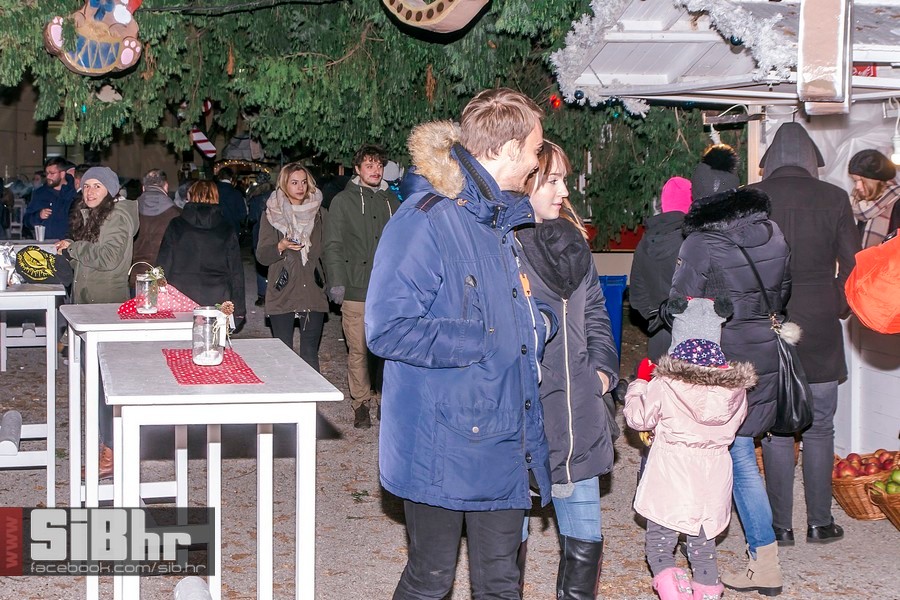 advent_u_parku_29