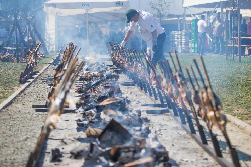 Kopačevo, 14.9.2019. – Ribarski dani Kopačevo, 14.9.2019. – Ribarski dani