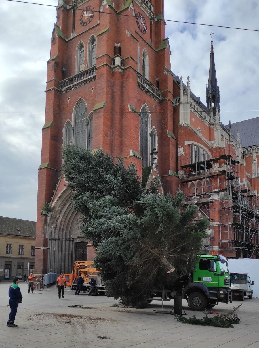 Adventski bor u Osijeku