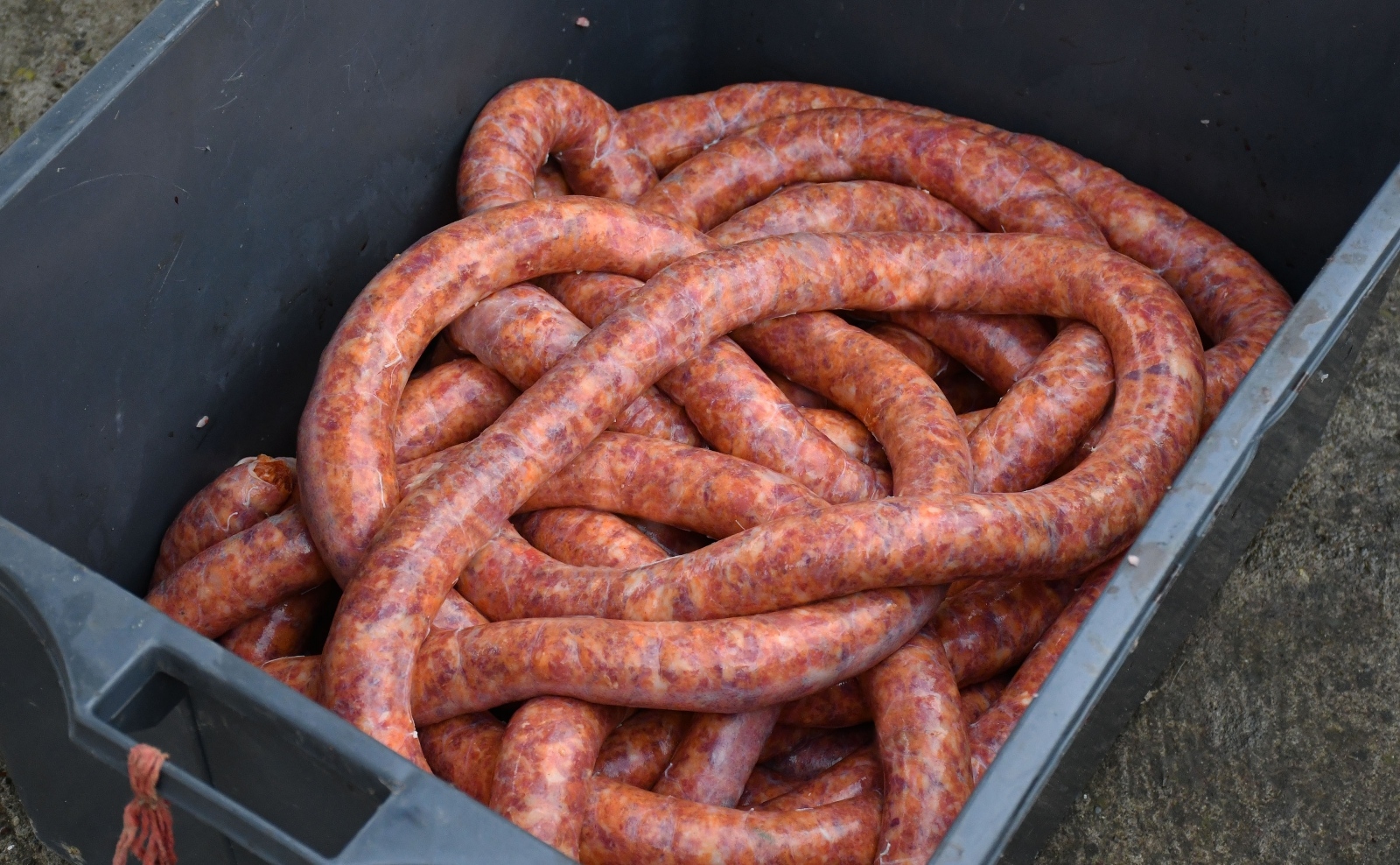 Tradicionalno slavonsko kolinje
