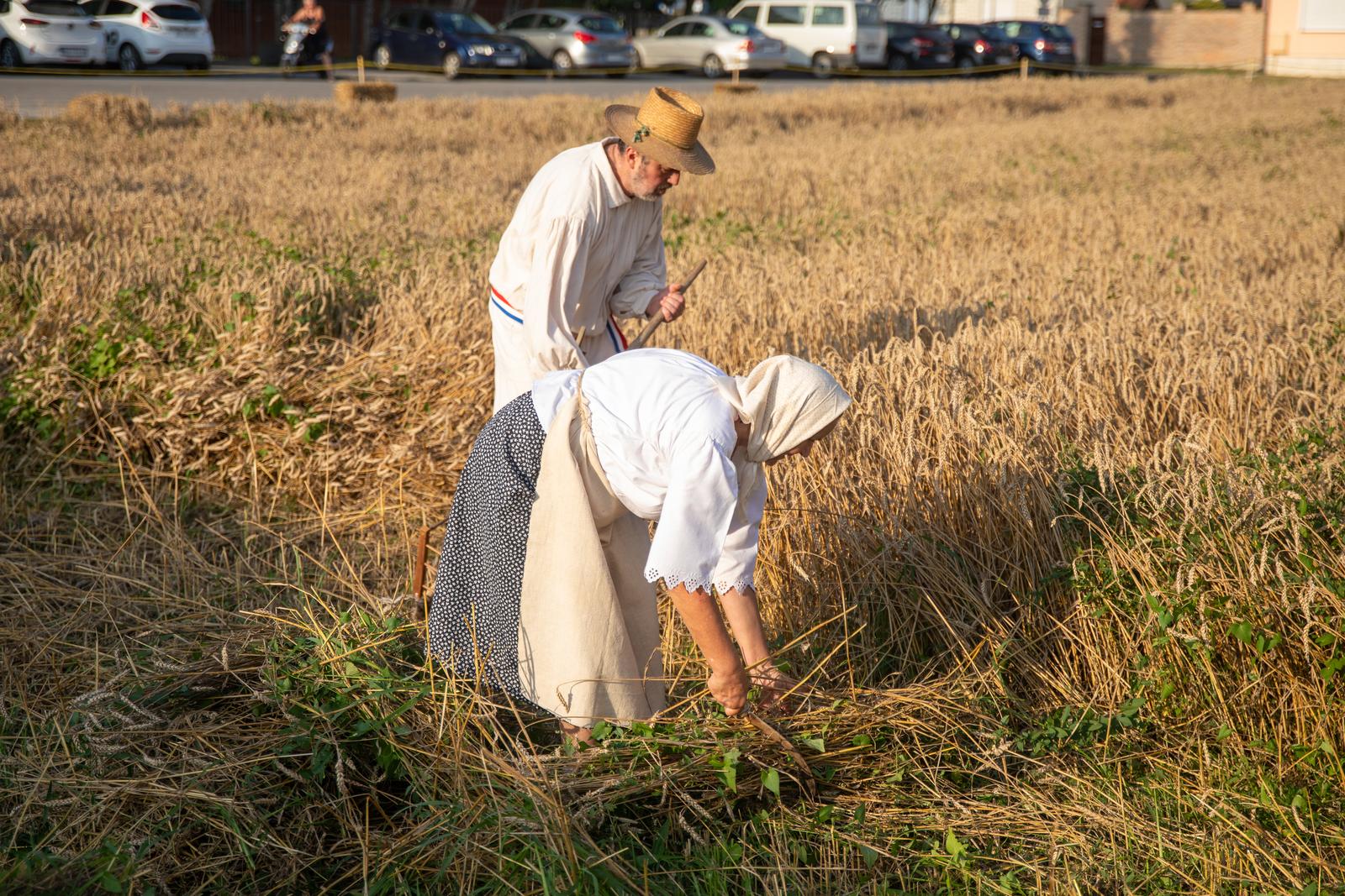 Održane jubilarne 30. Petrijevačke žetvene svečanosti