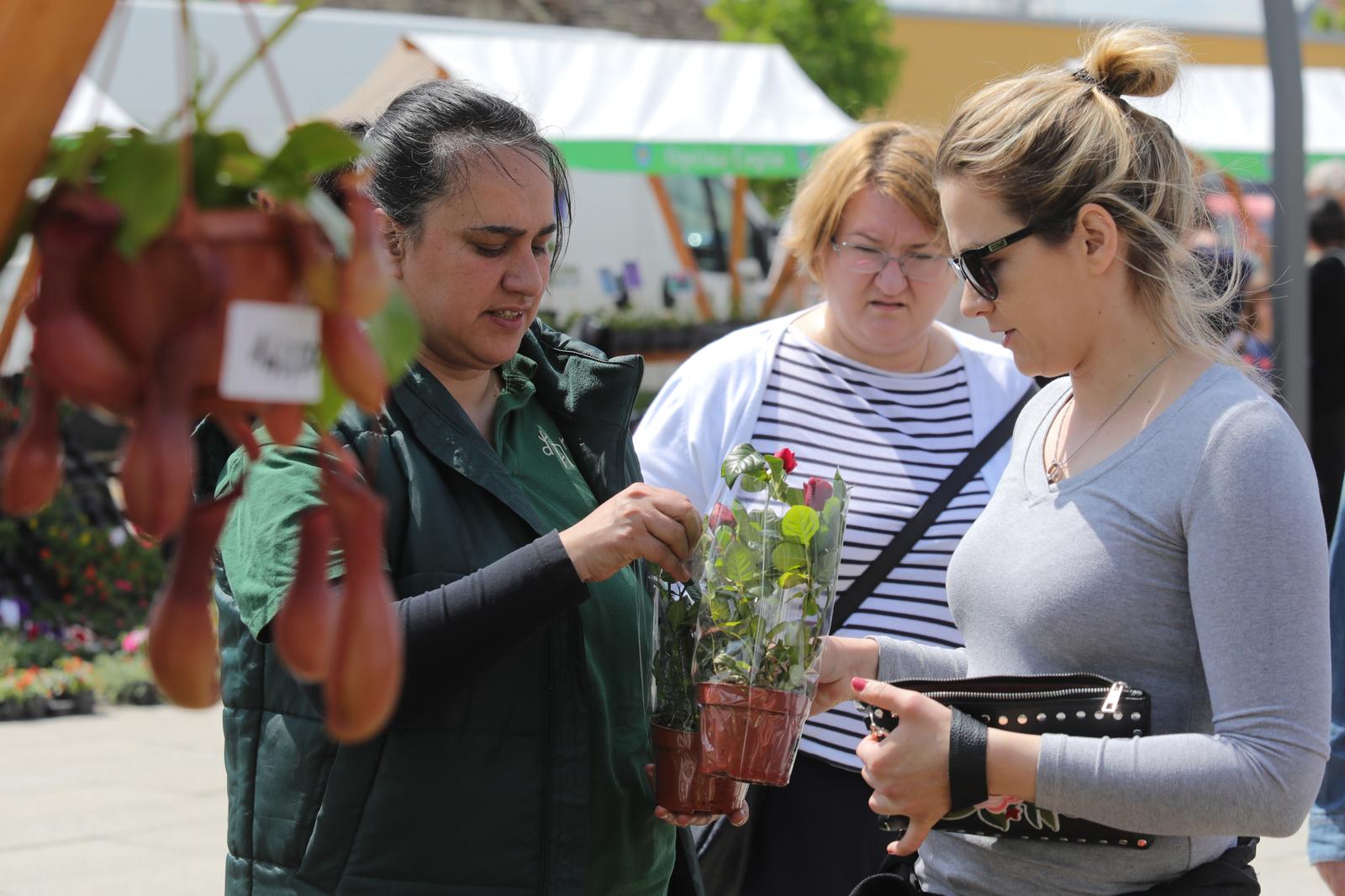 Proljetni sajam u Čepinu Proljetni sajam u Čepinu