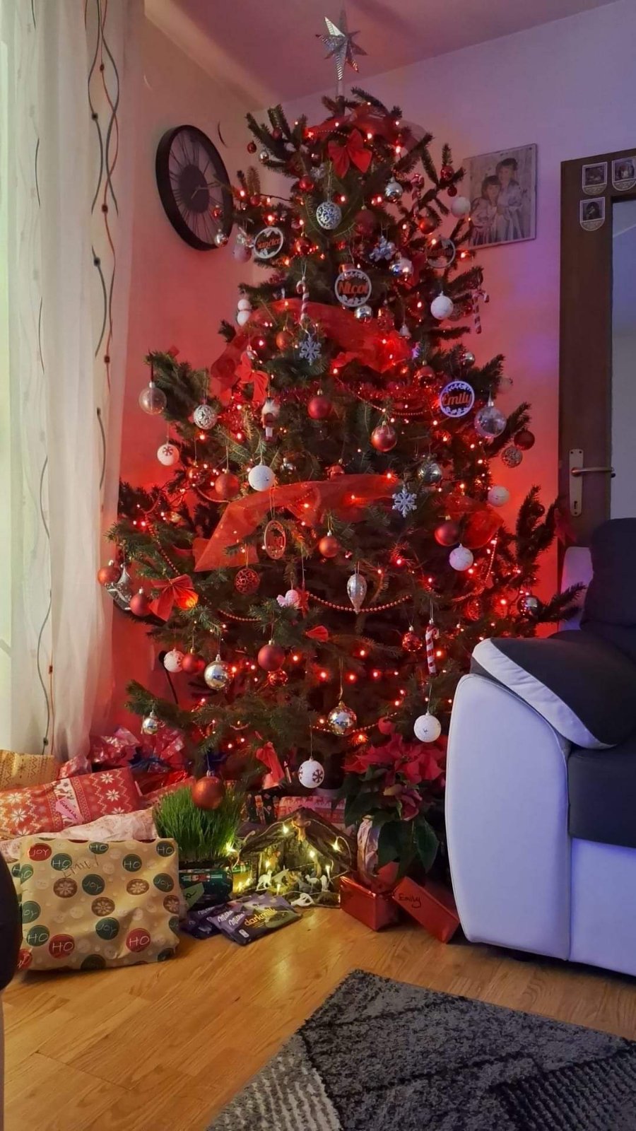 Najljepši borovi na Božić 2023. Najljepši borovi na Božić 2023.