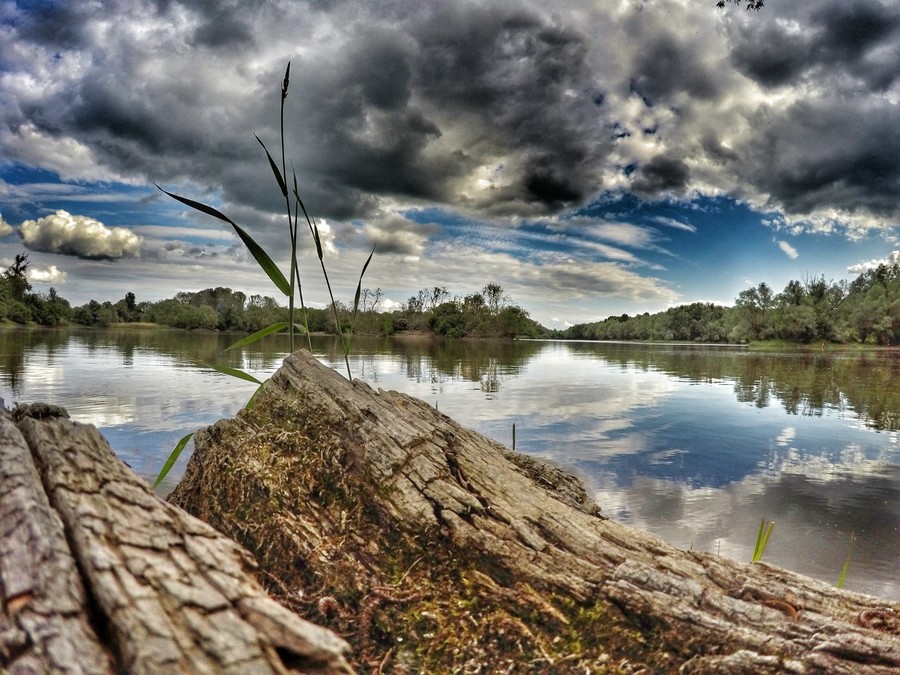 baranja_by_gordan_trtanj_SiBhr_