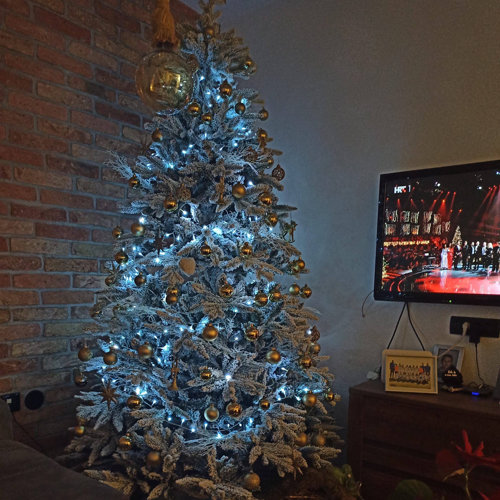 Najljepša božićna drvca naših čitatelja 2022.