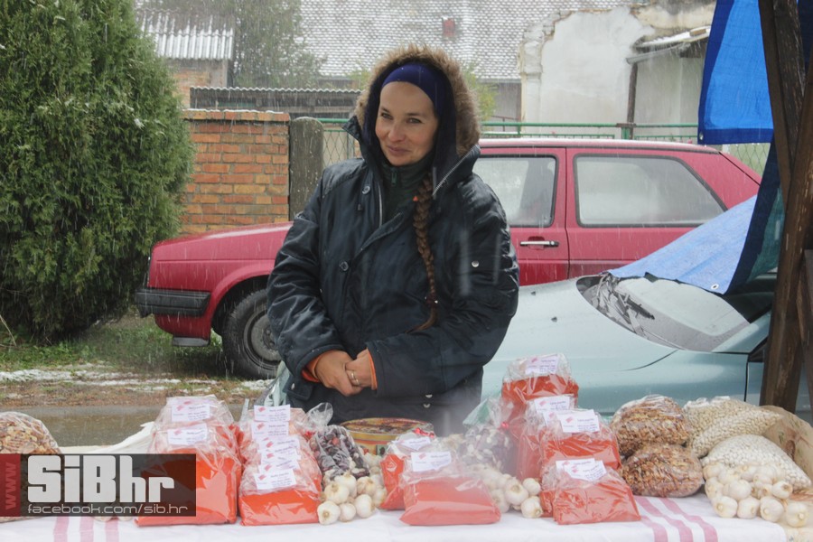karanac_2015_SiBhr_07