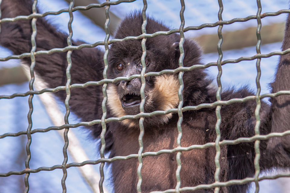 ZOO vrt  Osijek u proljeće