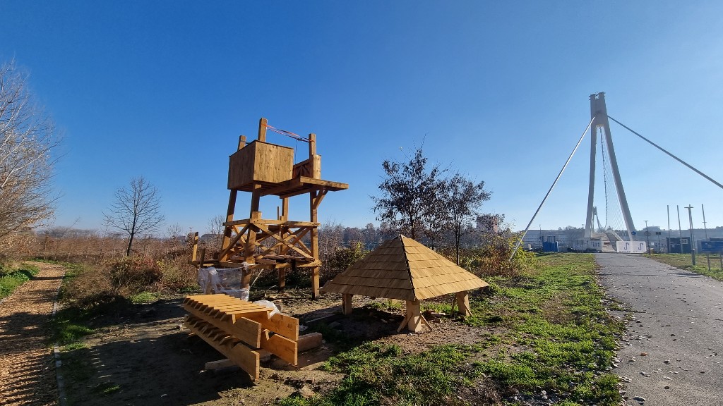 Šumica na lijevoj obali Drave