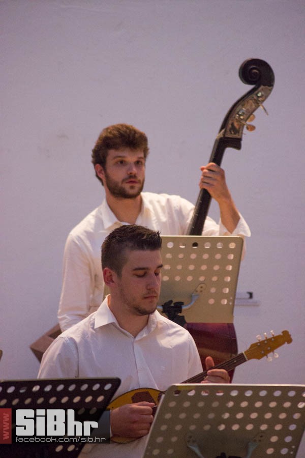 hrenic_2016_sibhr_17