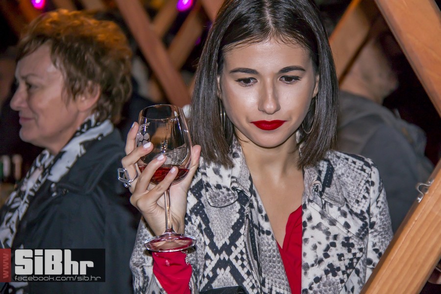 Vecer_vina_i_umjetnosti_SiB_hr-