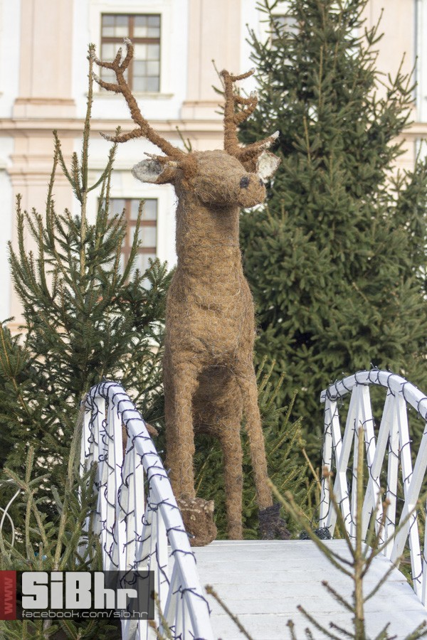 setnja_subota_osijek_SiBhr_9