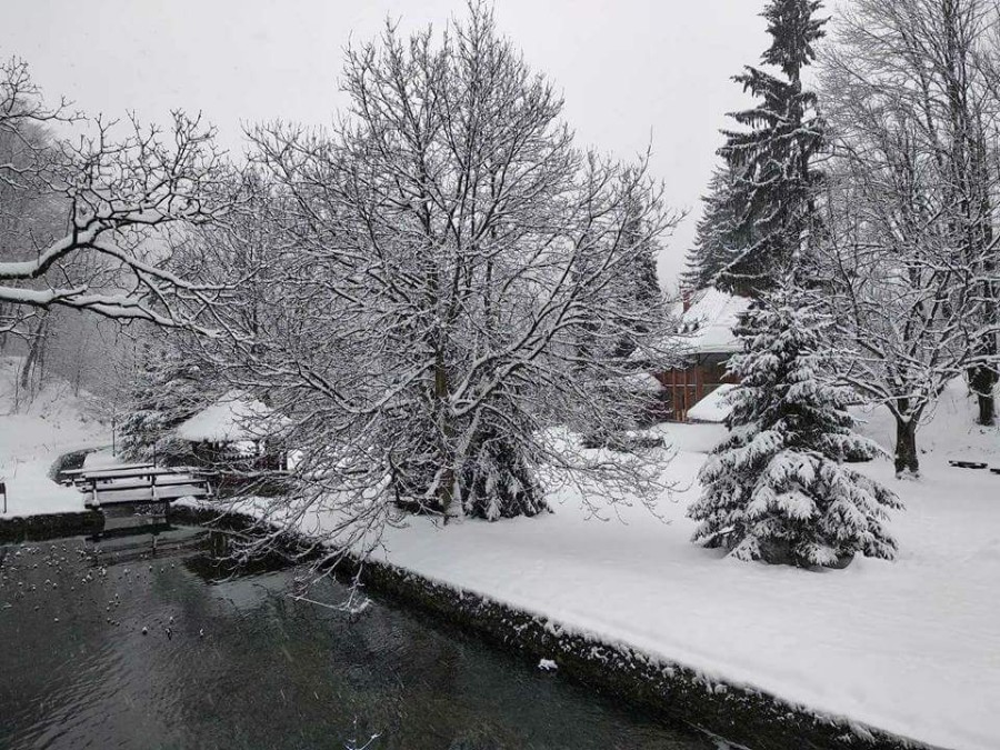 FB_IMG_1519646383587-900×675 FB_IMG_1519646383587-900×675