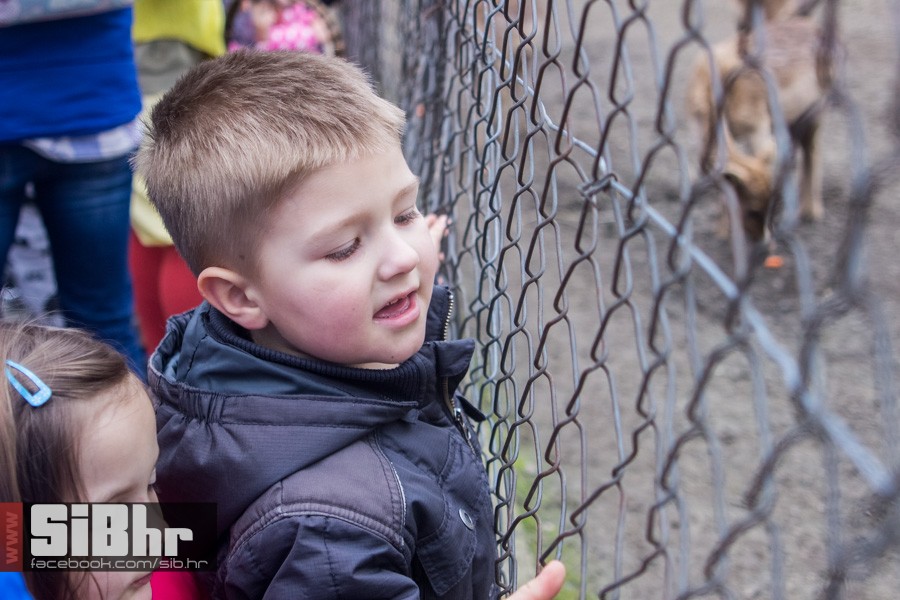 zoo_uskrs_2016_sibhr_149