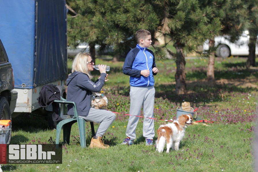 karanac_vasar_2016_sibhr_21