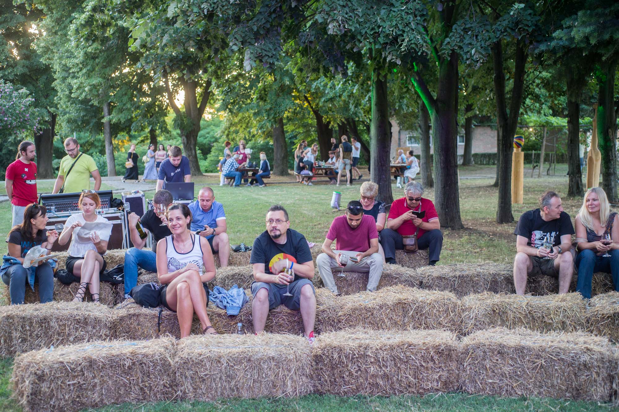DunavArt Festival u Erdutu