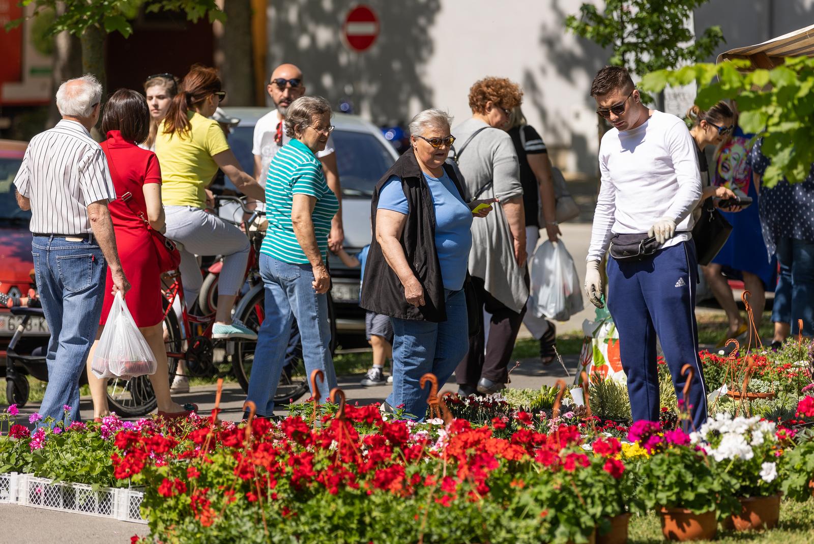 Festival cvijeća 2022.