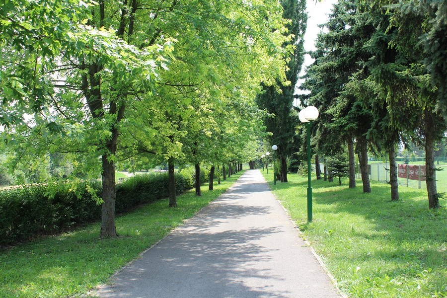 knezevi_vinogradi_14