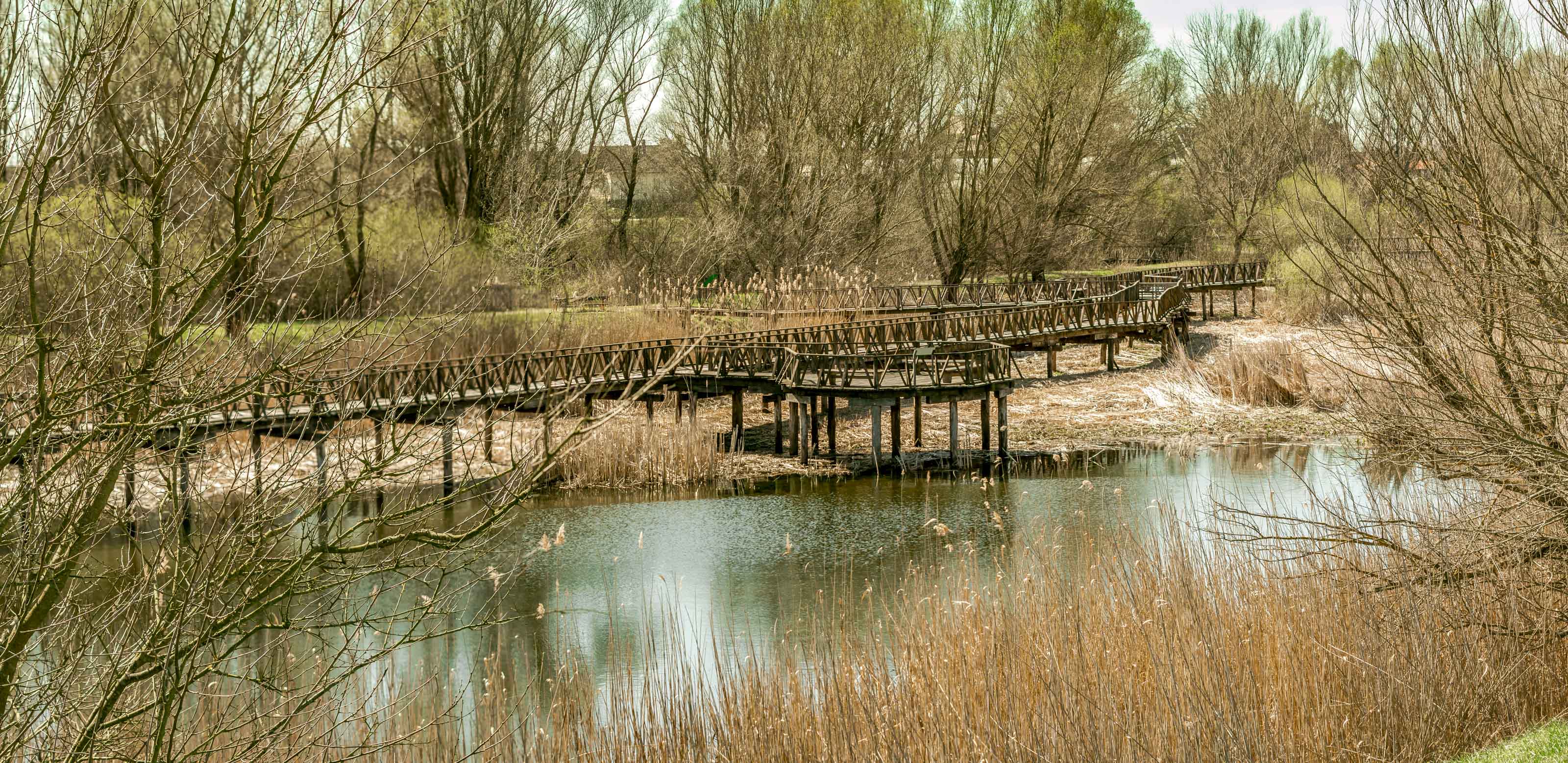 Kopački rit ožujak 2023. Kopački rit ožujak 2023.