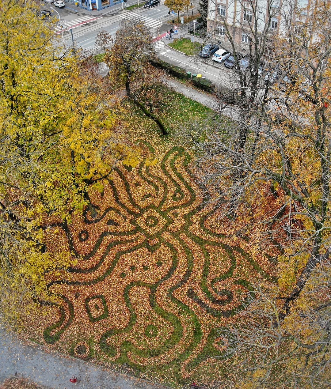 Lišće kao umjetnička djela
