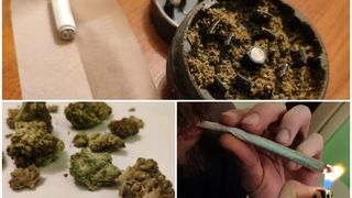 trava marihuana cbd cvjetovi