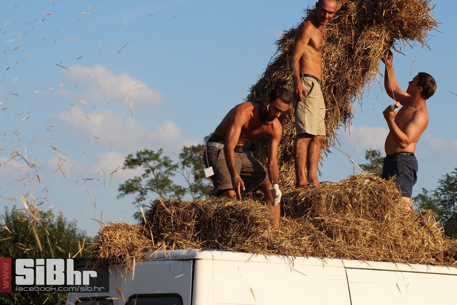 slama_dan_drugi_SiBhr_13 slama_dan_drugi_SiBhr_13