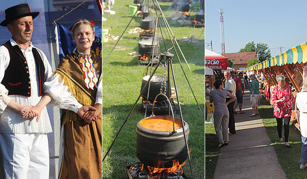 antunovacki-dani-2015 antunovacki-dani-2015