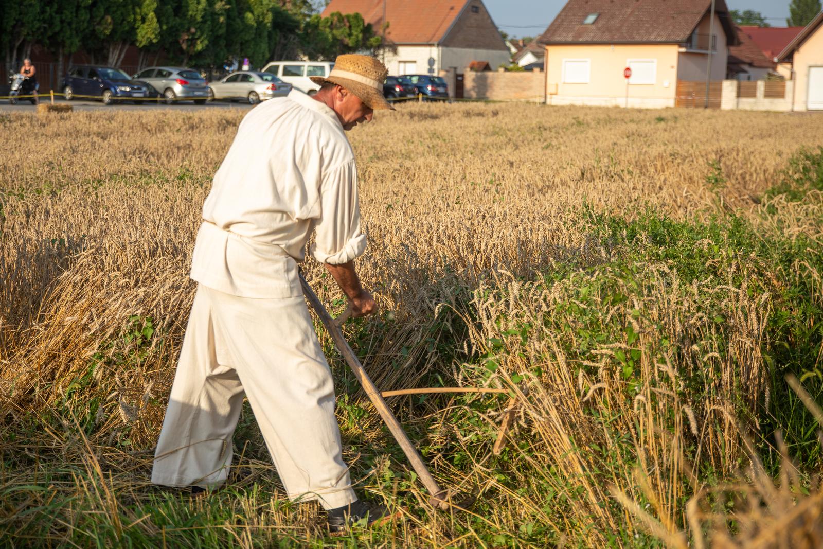 Održane jubilarne 30. Petrijevačke žetvene svečanosti