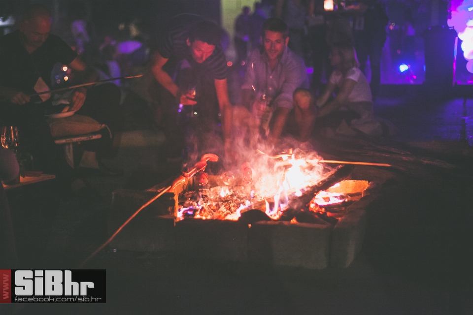 wine_fest_erdut_2016_SiBhr_26