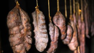 kulen kulenovi