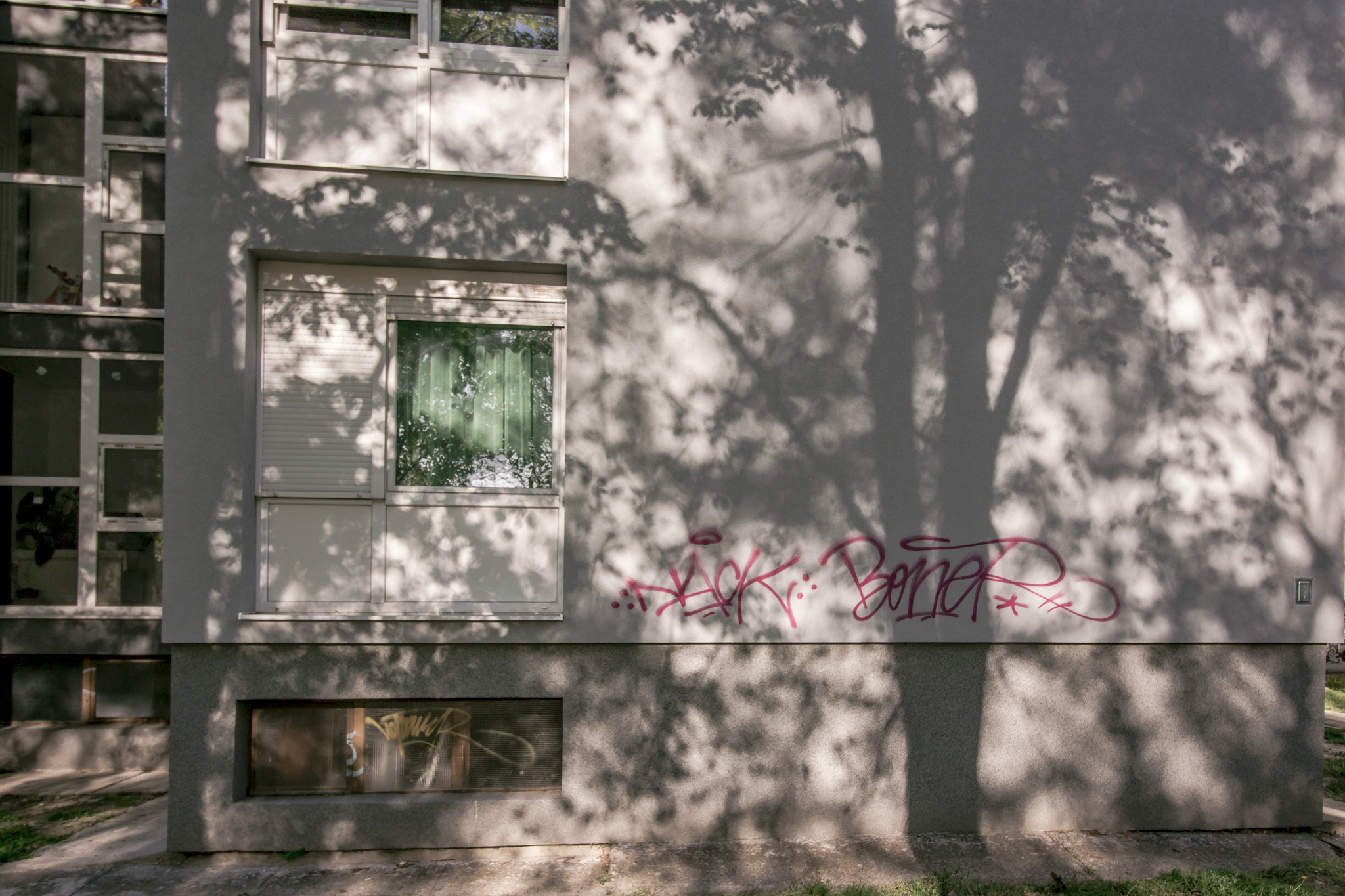 Image 4451253 (auto)