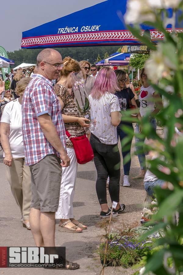 sajam_cvijeca_osijek_5