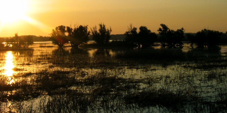 osijek_robert_marinkovic_48