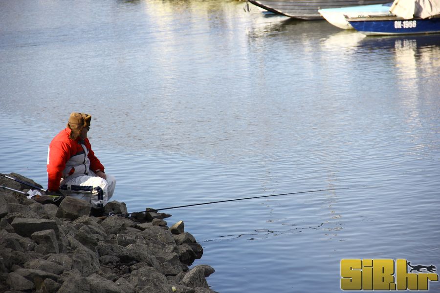 setnja_gradom_7_1_2012_sibhr_48