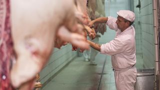 mesnica klaonica ravlić svinjetina