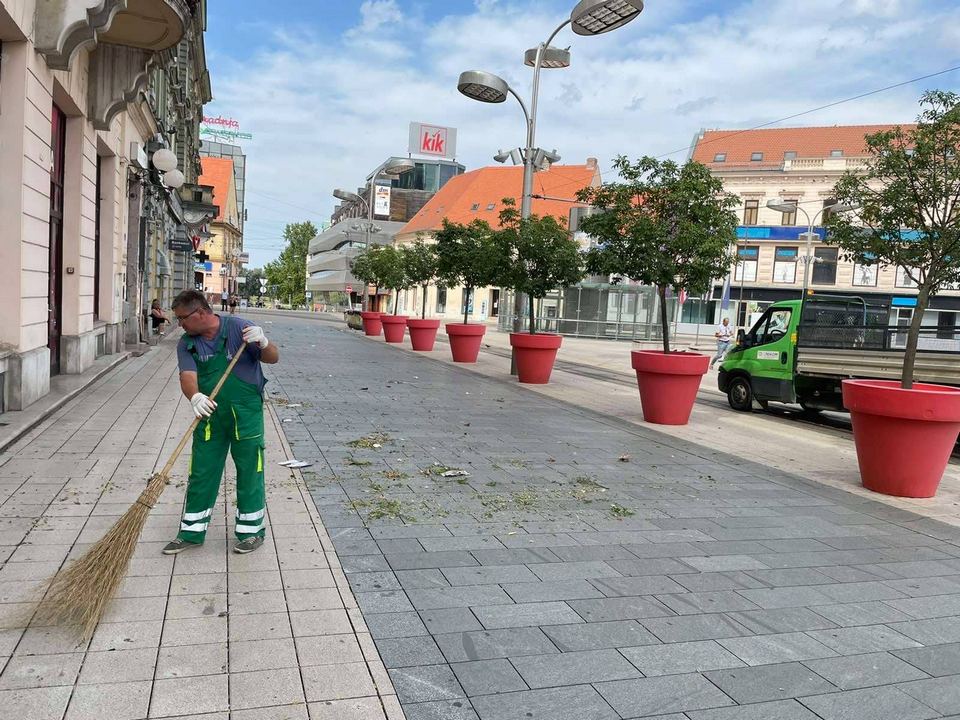 Olujni vjetar rušio drva u Osijeku