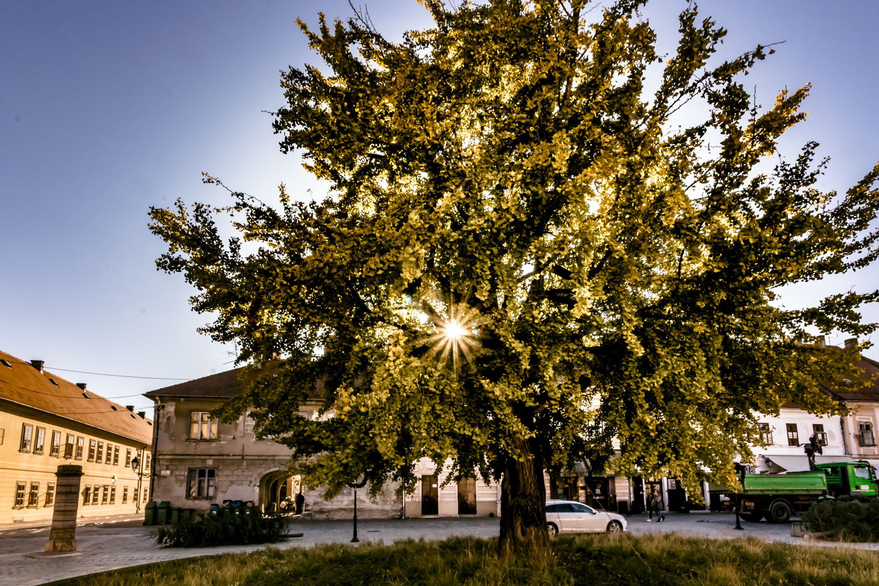 Pripreme za početak Adventa u Osijeku Pripreme za početak Adventa u Osijeku