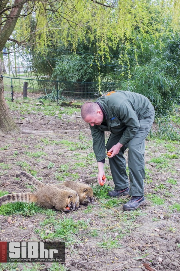 zoo_uskrs_2016_sibhr_32