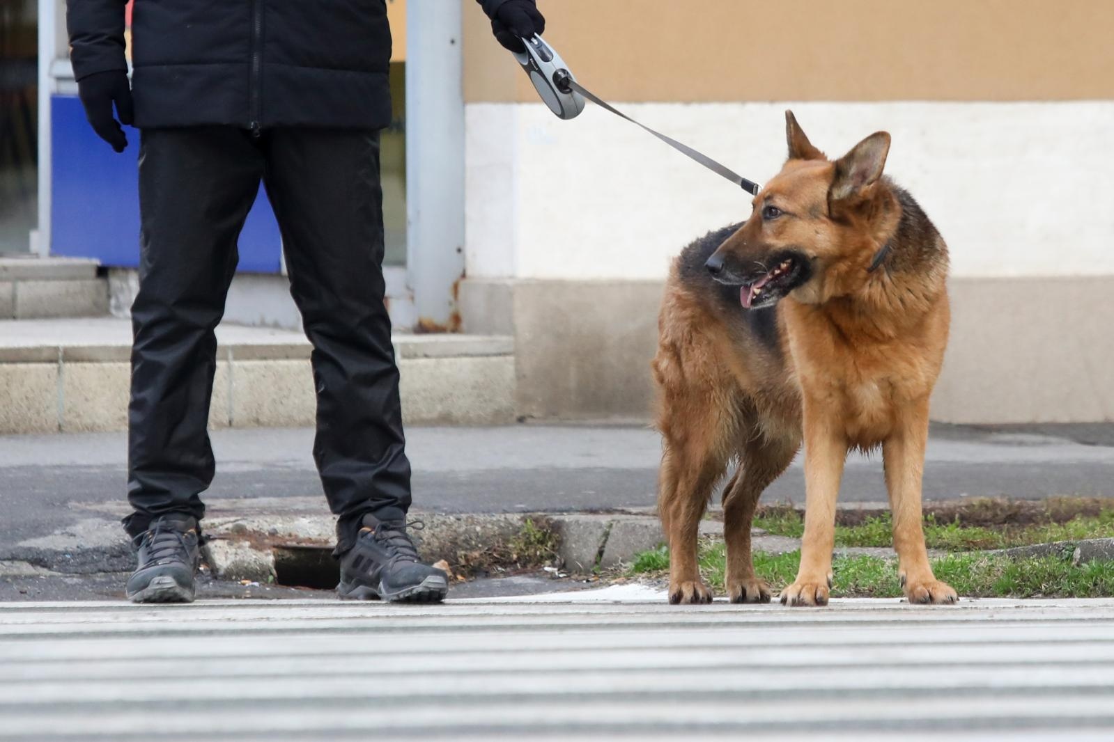 Četveronožni ljubimci Osječana u šetnji
