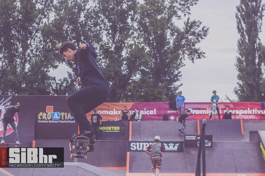 pannonian_petak2015_SiBhr23