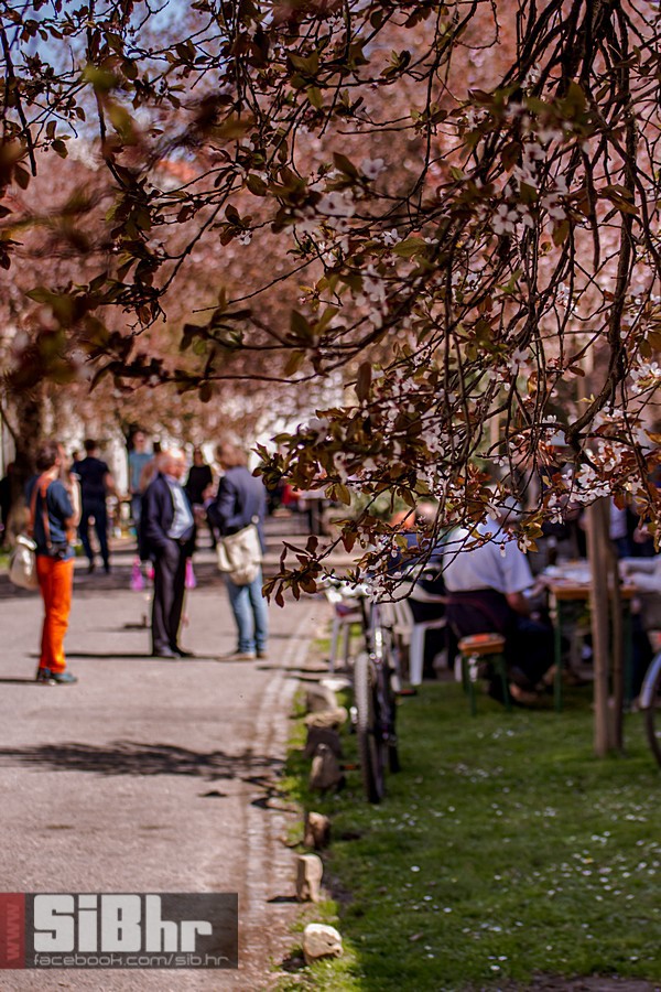 ulica_ringlova_ivica_benic_sibh