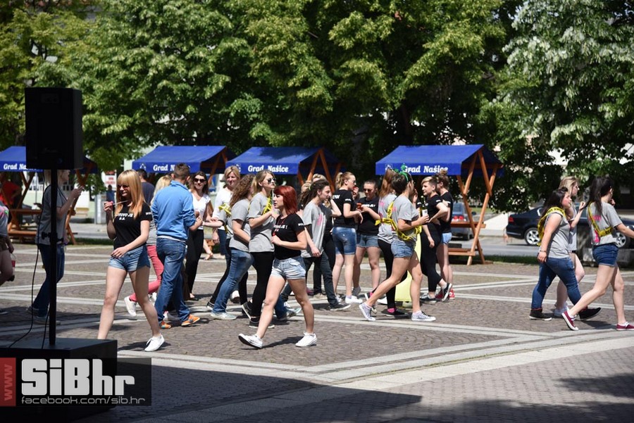 quadrilla_nasice_2015_SiBhr_3