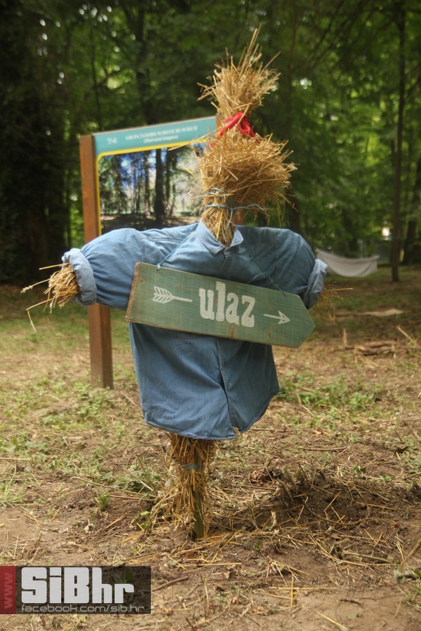 backyard_art_festival_SiBhr_73