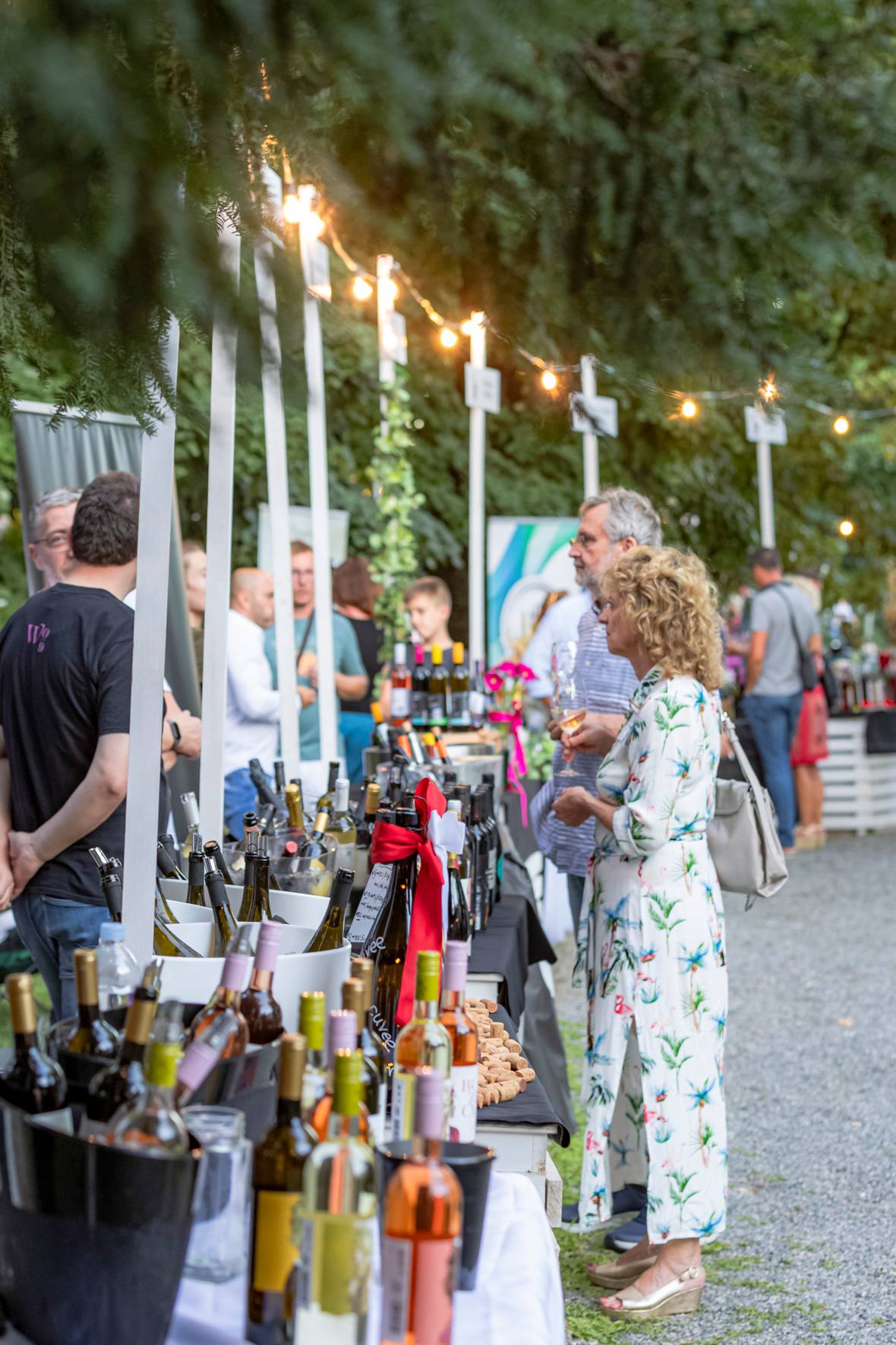 Večer vina i umjetnosti, srpanj 2024.