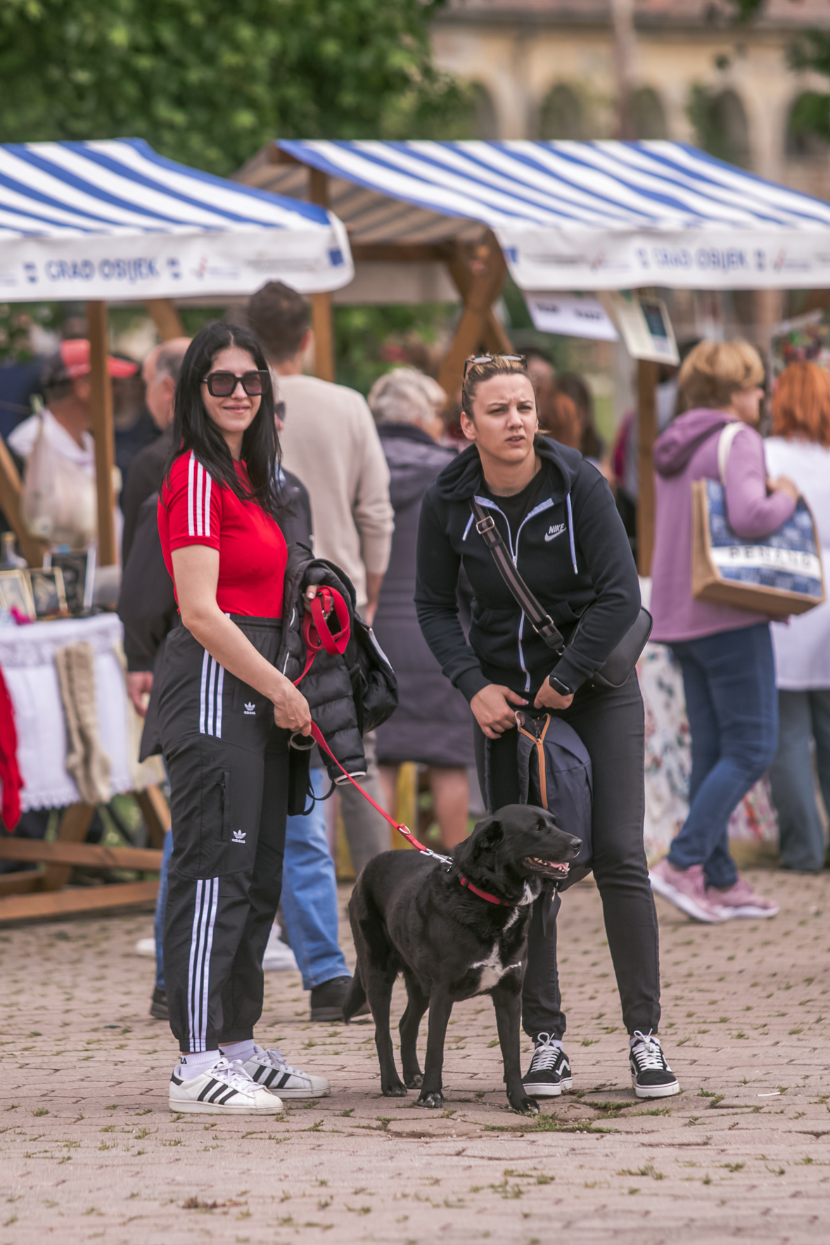 Sajam antikviteta svibanj 2024.