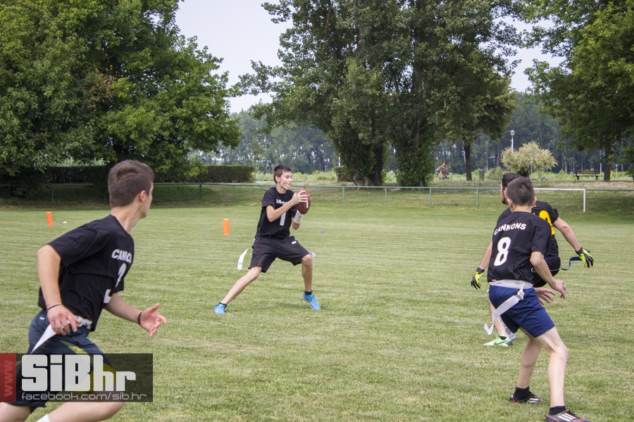 cannons_22
