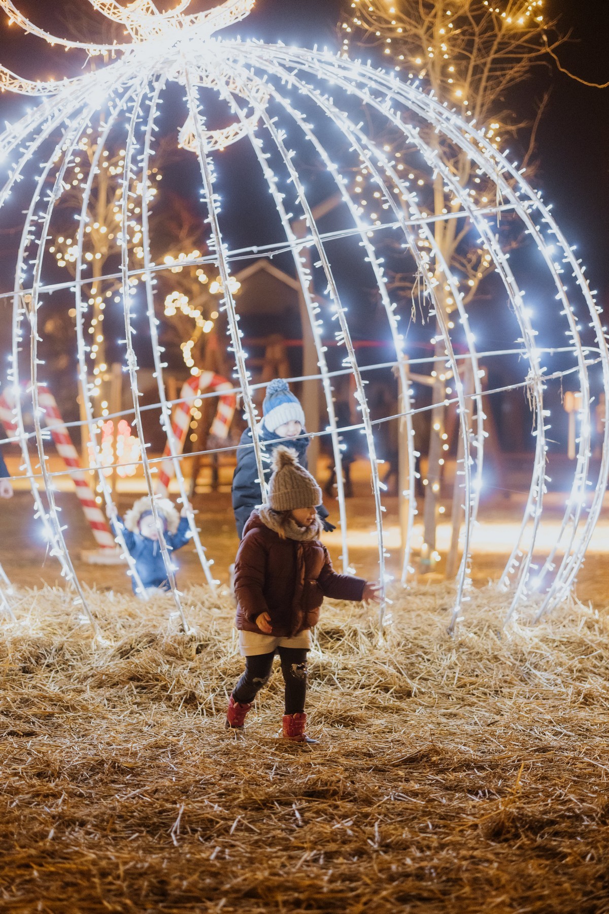 Advent u Čepinu 2023.