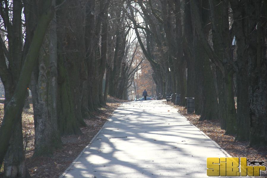setnja_gradom_7_1_2012_sibhr_14