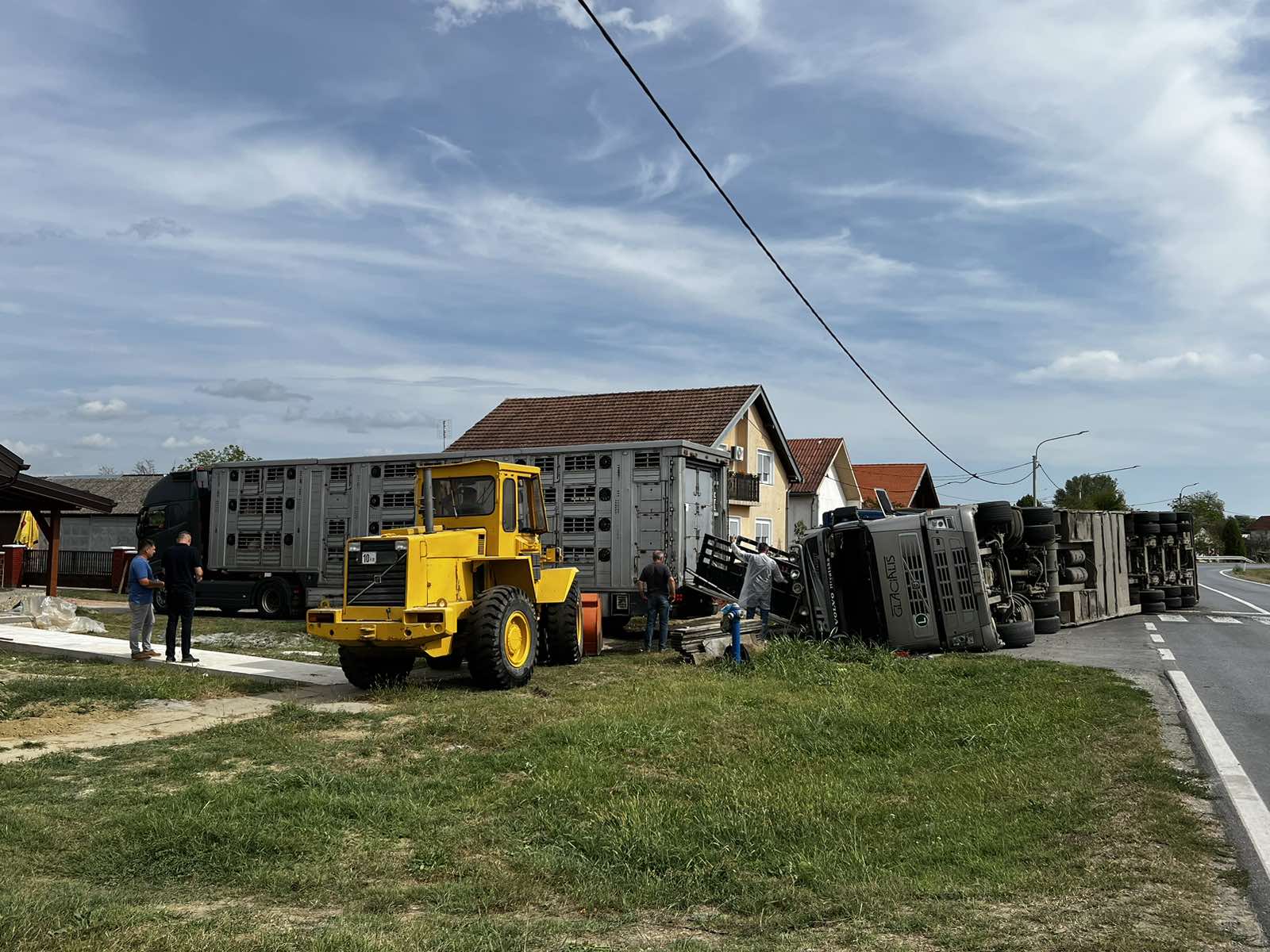 Nesreća kamiona s svinjama