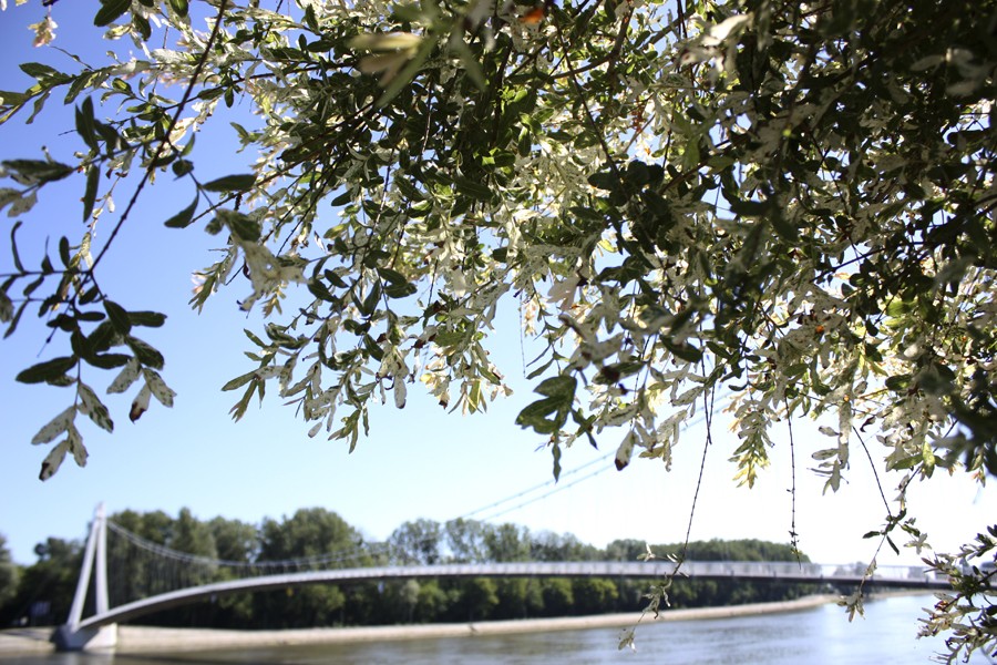 osijek_robert_marinkovic_37